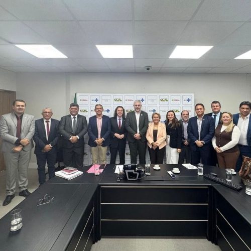 No Ministério da Saúde, Veneziano e prefeitos tratam da implantação de Centro de Diagnóstico por Imagem no sertão