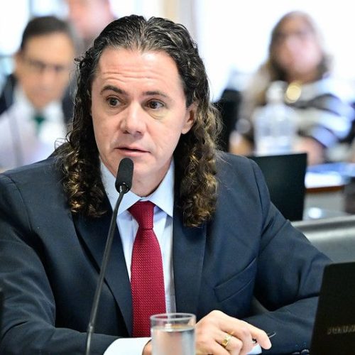 Comissão aprova Relatório de Veneziano que define guarda compartilhada de pets em casos de separação de casais